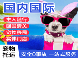 伊春林都机场邮寄国际宠物托运 【国
